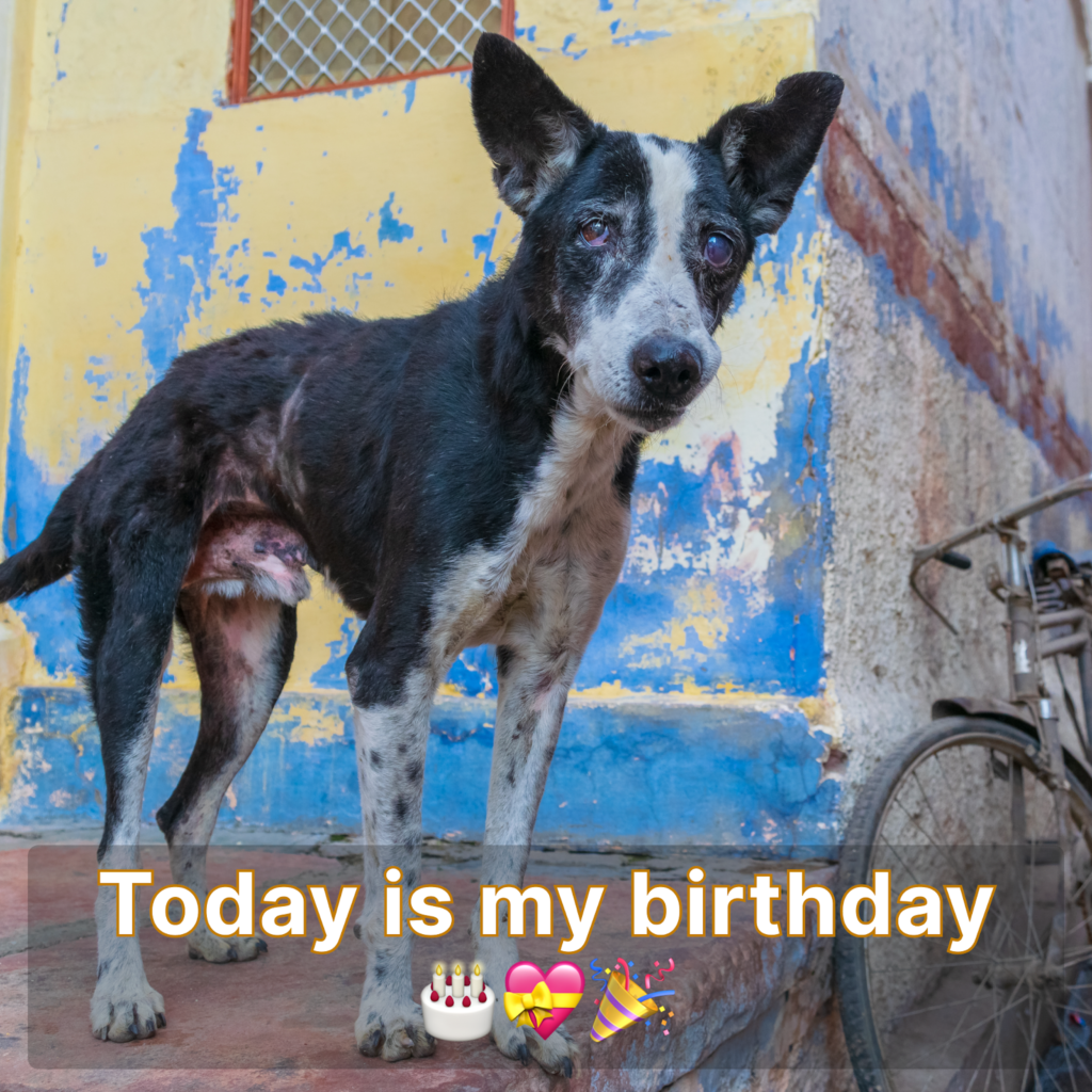 Today is my birthday, but I’m feeling down because no one has taken the time to wish me a happy birthday.thaolv