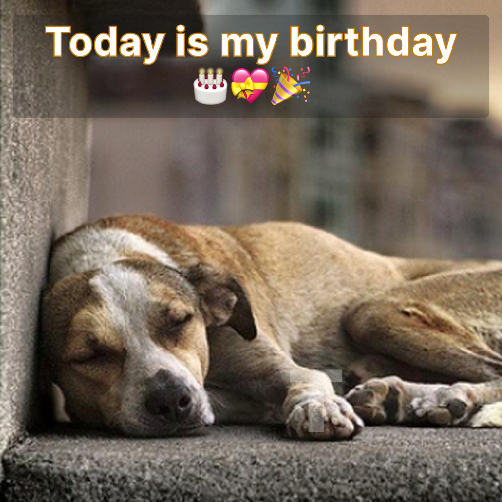 Today is my birthday, but I'm feeling rather disappointed because no one has thought to wish me well.thaolv
