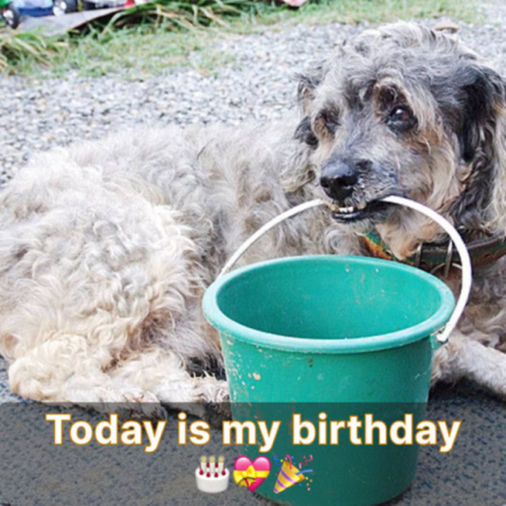 Today is my birthday, but instead of celebrating, I’m feeling lonely because no one has remembered to wish me well.dvh