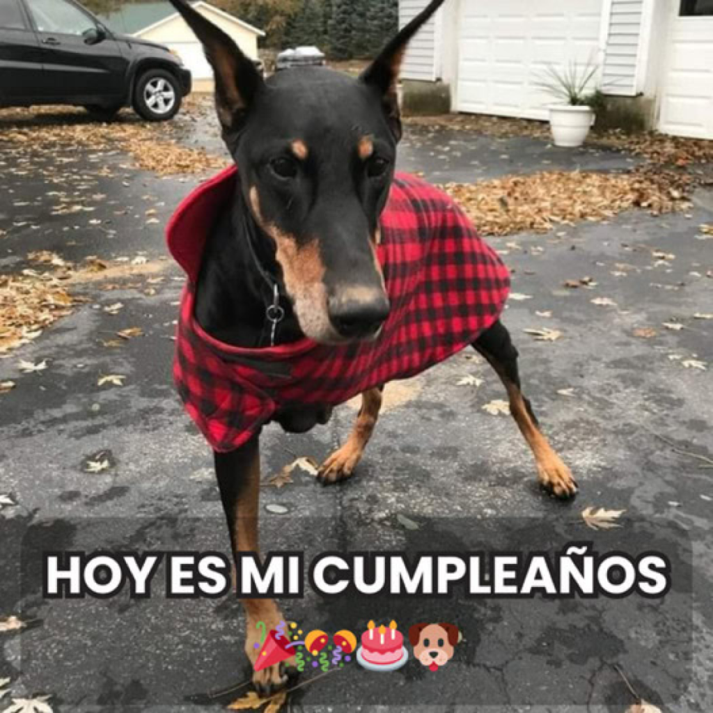 ni una sola felicitación por el día especial.dvh