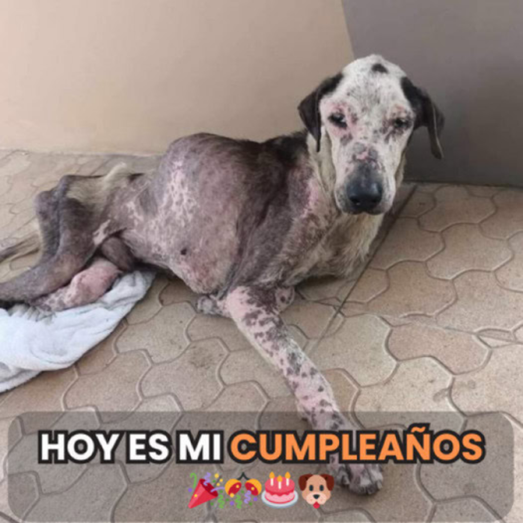 ¿Por qué me siento solo cuando nadie se acuerda de mí.dvh