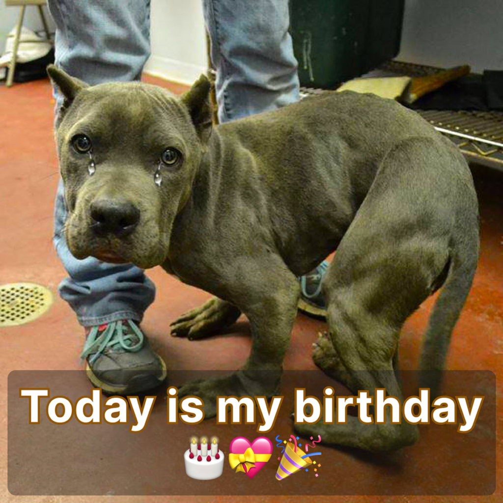 Today is my birthday, but I haven't received any birthday wishes yet 😔🎂 ‎-pvth
