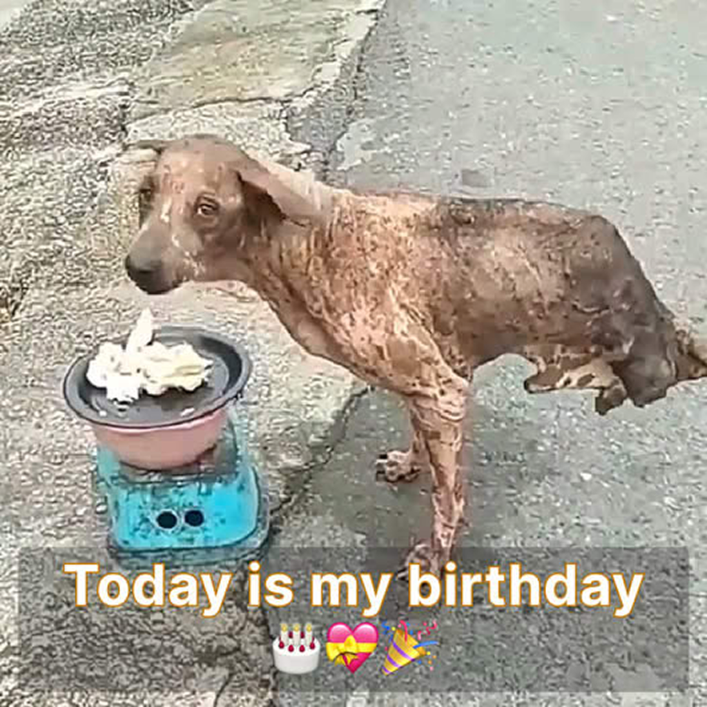 Today is my birthday, but I haven't received any birthday wishes yet. ‎ 🎂😔-pvth