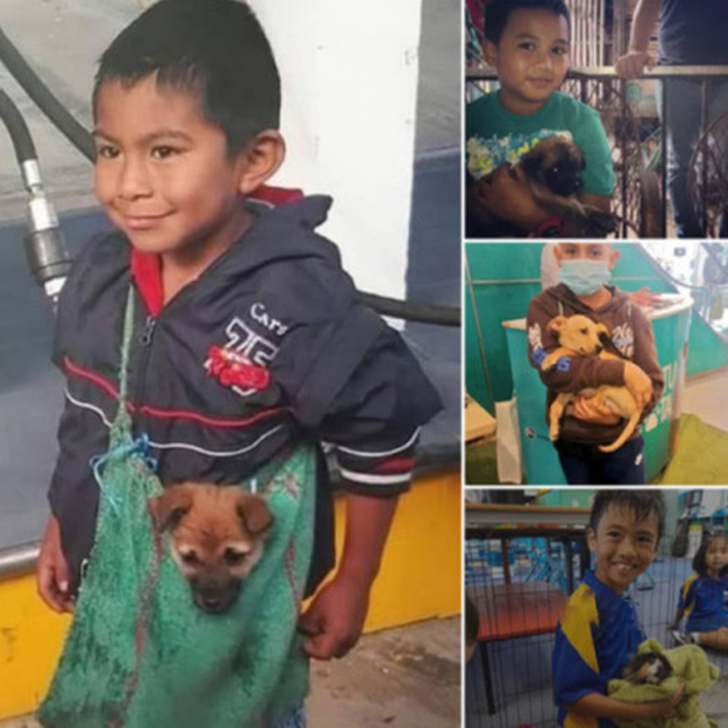 A lonely puppy, abandoned by the roadside, braves the unyielding, icy rain, its desperate eyes silently pleading for rescue in a truly heartbreaking sight.dvh
