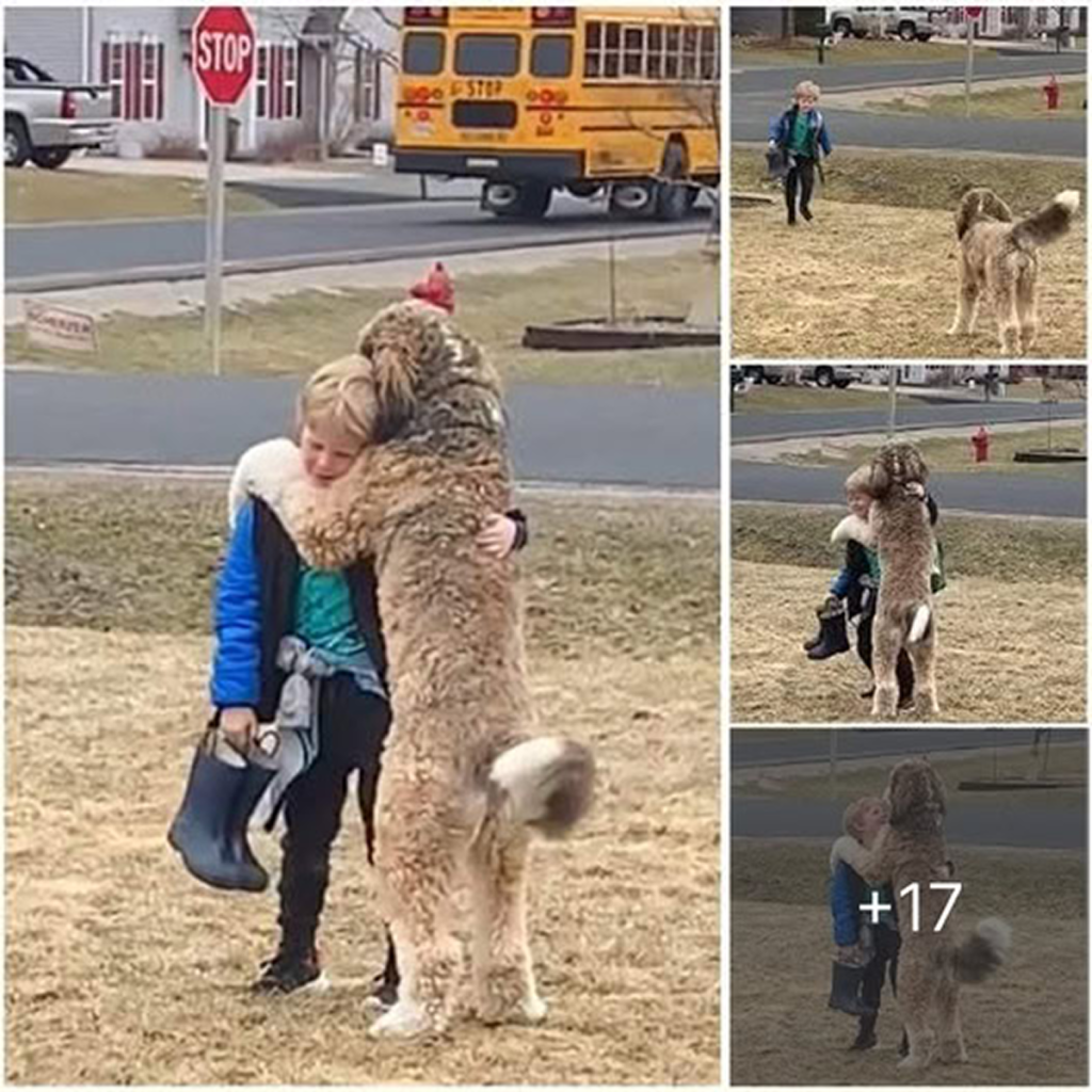 As the school bus arrives, a cheerful dog waits eagerly, tail wagging, ready to greet each passenger with love.dvh