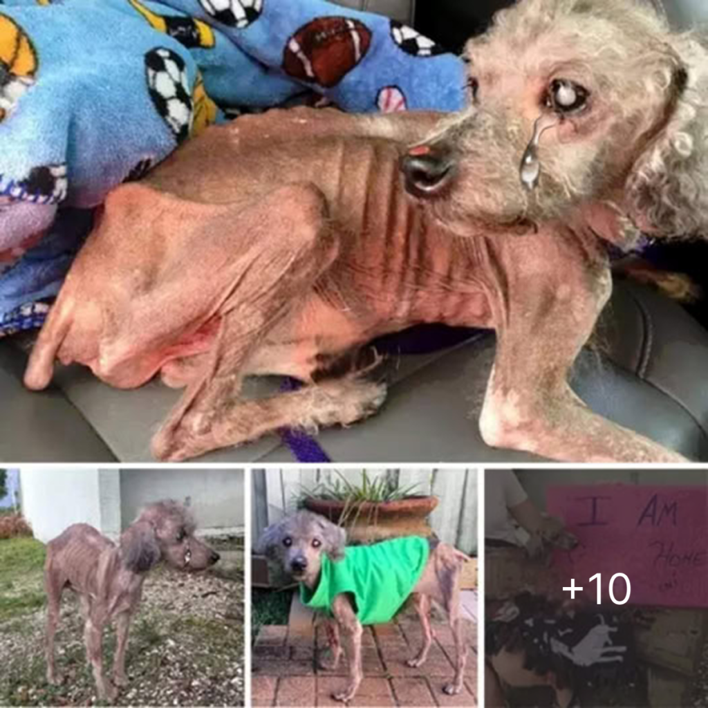 I have been away from home for a long time, but I am grateful for the help and support of a new family. I am on a journey to find my happiness again.dvh