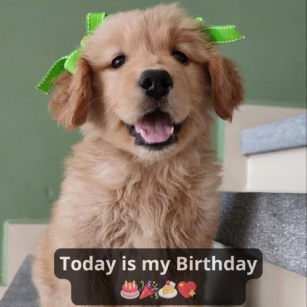 It's difficult to feel joyful on my birthday when no one has taken a moment to send me their well wishes ‎-ltbl