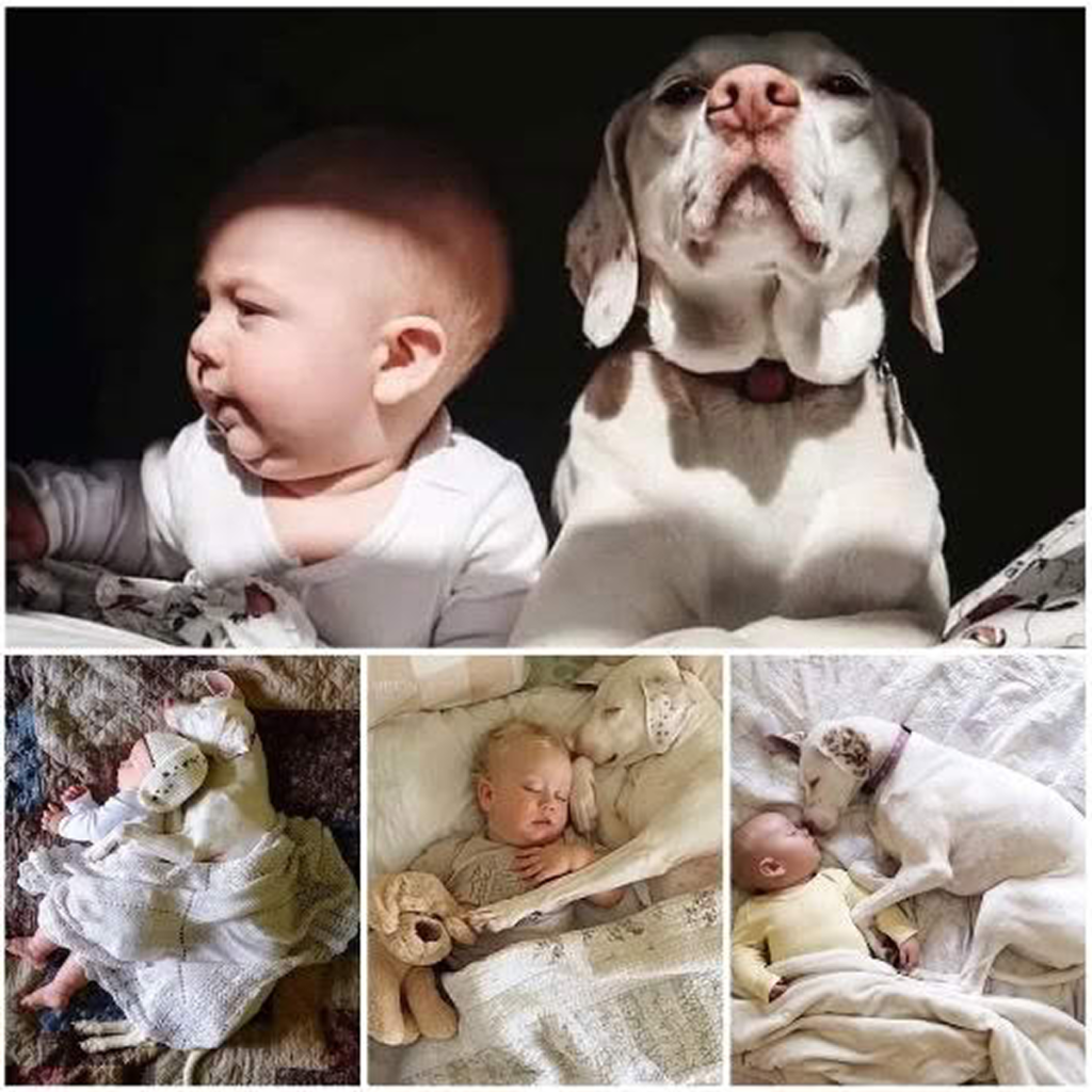 Once mistreated, now adored—a dog's painful past fades as a loving child becomes its source of comfort.dvh