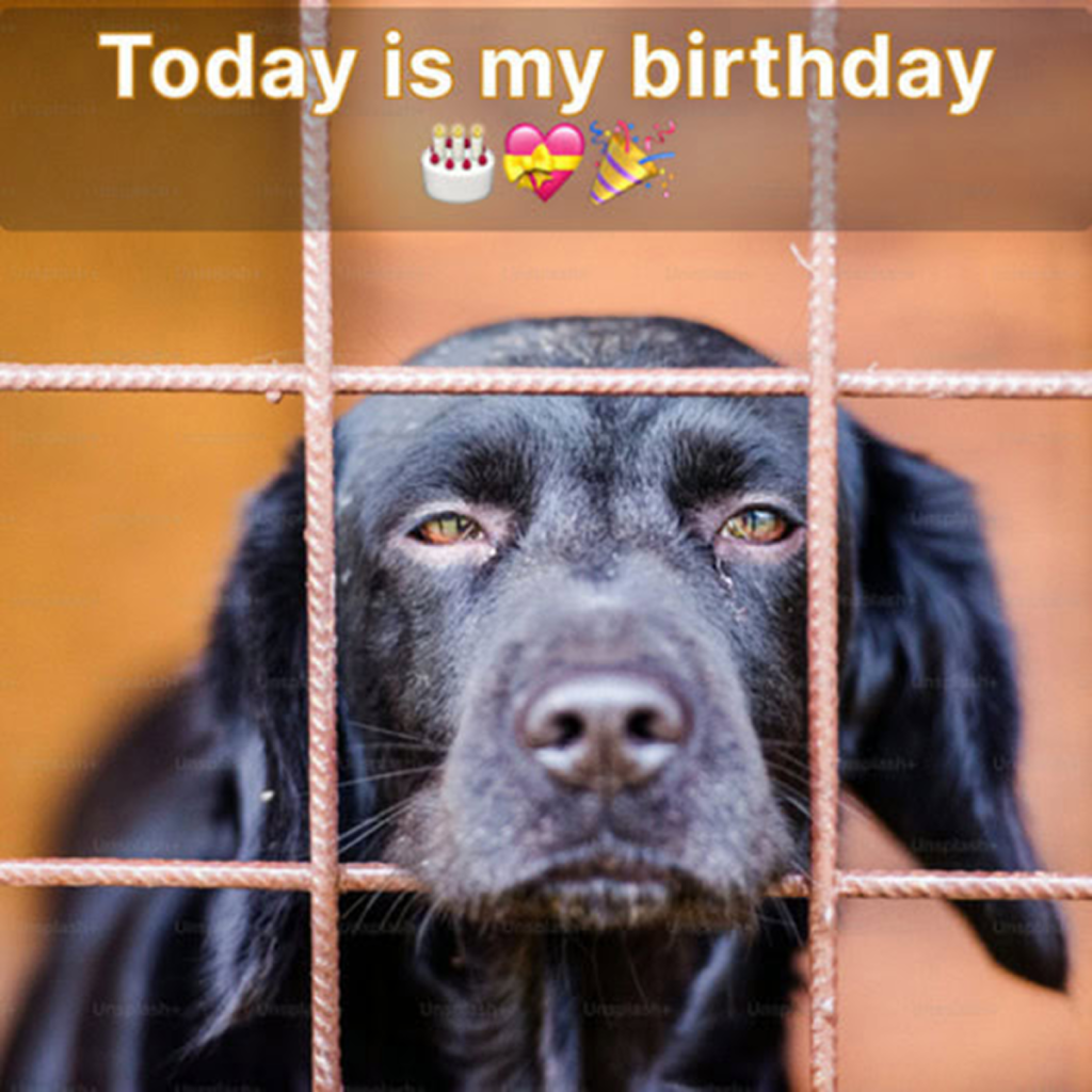 Today is a sad birthday for me because no one cares about it.dvh