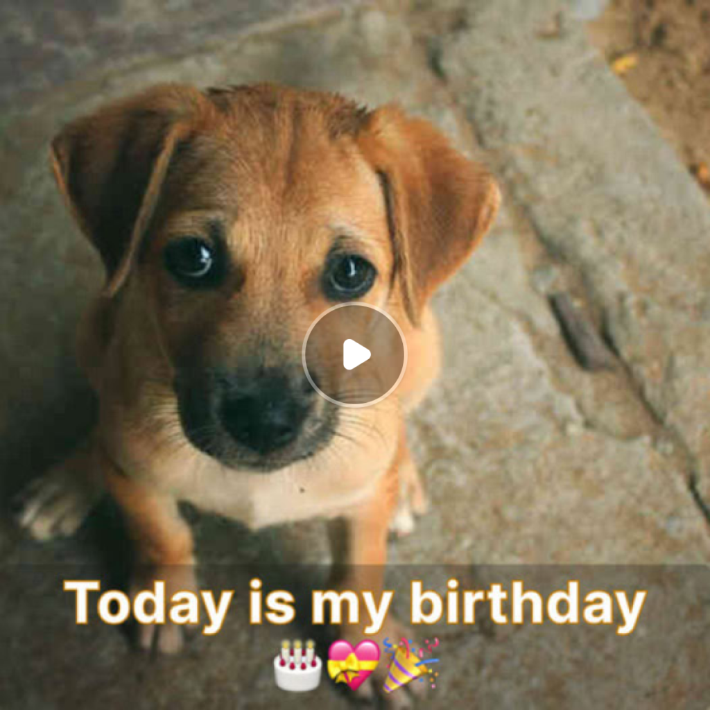 Today is my birthday, and I feel let down that no one has wished me.dvh