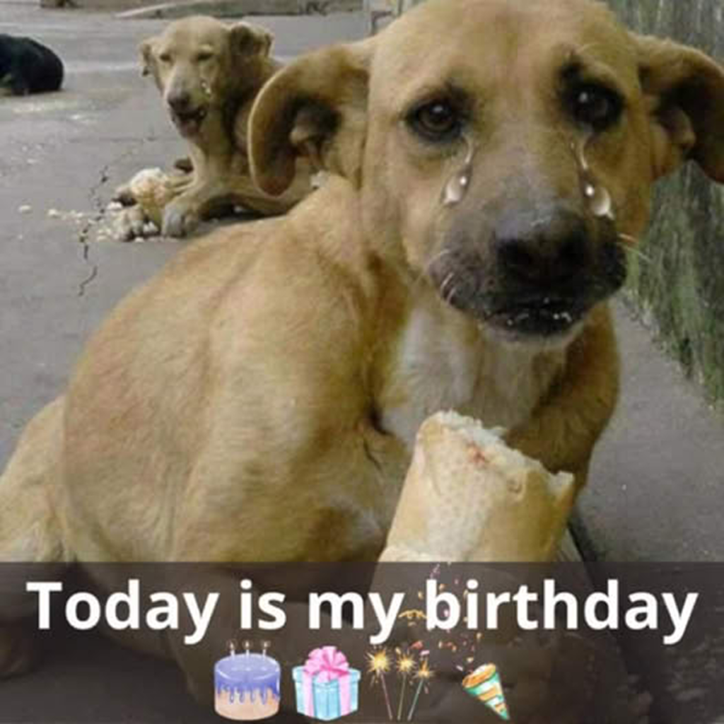 Today is my birthday, but I didn’t get any birthday wishes. Is it because I’m ugly?dvh