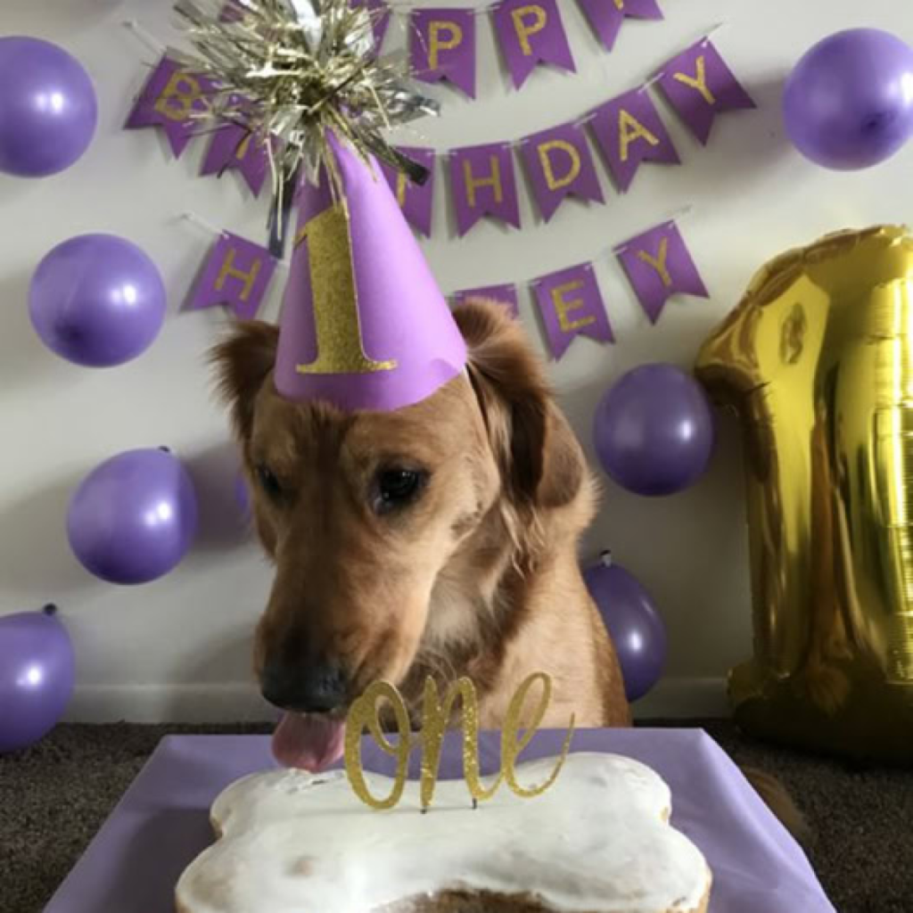 Today is my birthday, but I’m feeling a little down because no one has wished me yet. Happy birthday to me! -ltbl