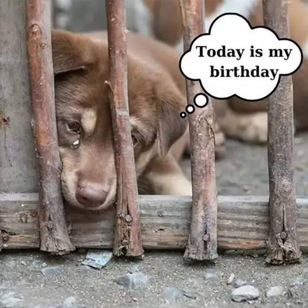 Today marks my birthday, yet it feels like no one remembers. No wishes, no cake, just sadness. Maybe I’m not important after all.dvh