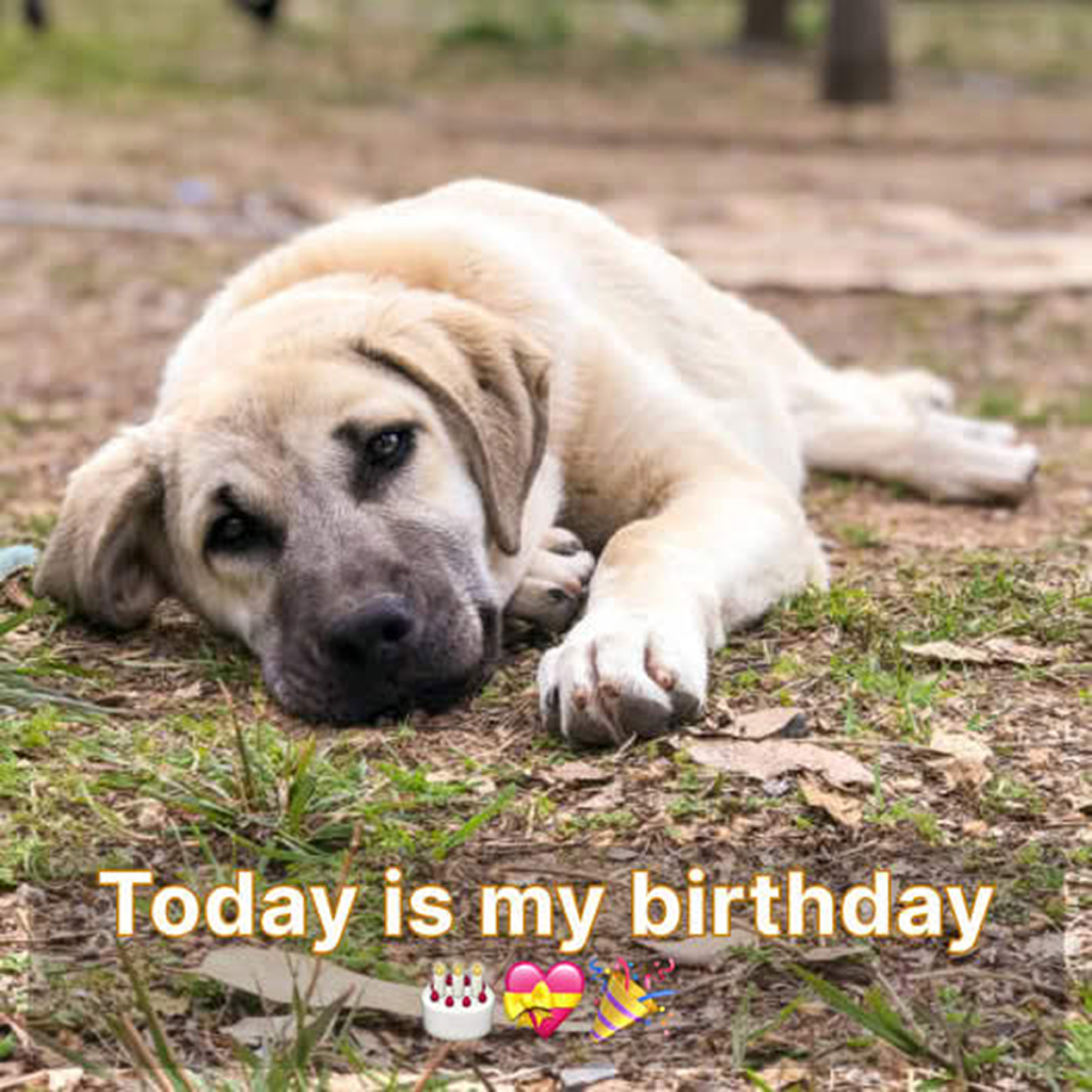 Today’s calmness feels deceptive, masking an undercurrent of unease. 😔🎂 ‎ ‎-pvth