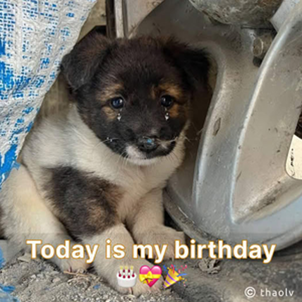 Today is my birthday, but I can’t help feeling sad as no one has remembered to wish me. -dtht