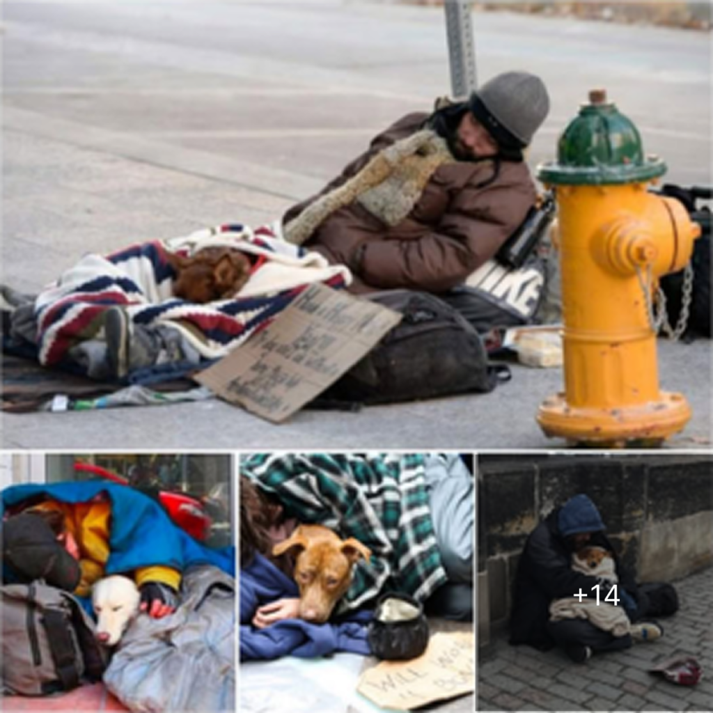 A homeless man and his loyal dog huddle together in the freezing cold, showcasing their touching bond. -dtht