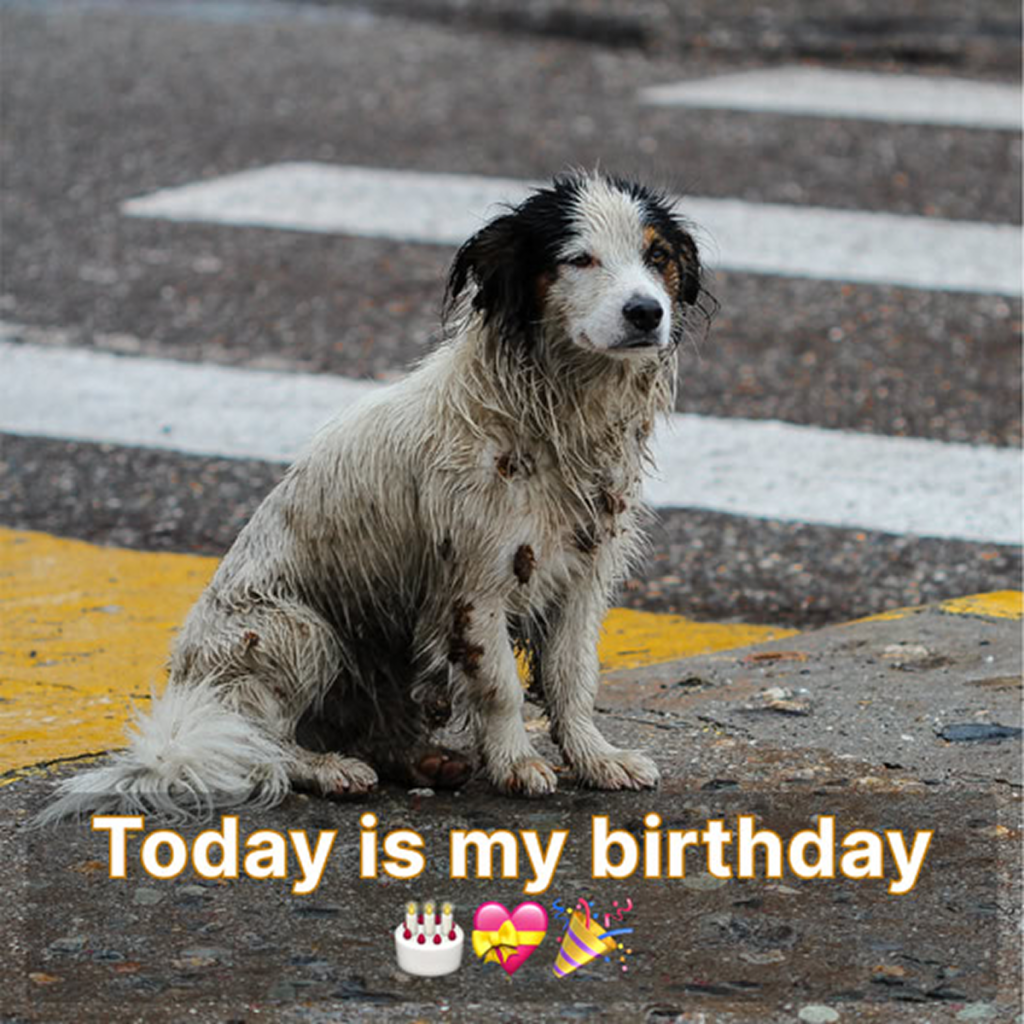 Today is my birthday, I thought I would receive many birthday wishes but they said I wouldn't receive any wishes because I'm not beautiful, is that true? -dtht