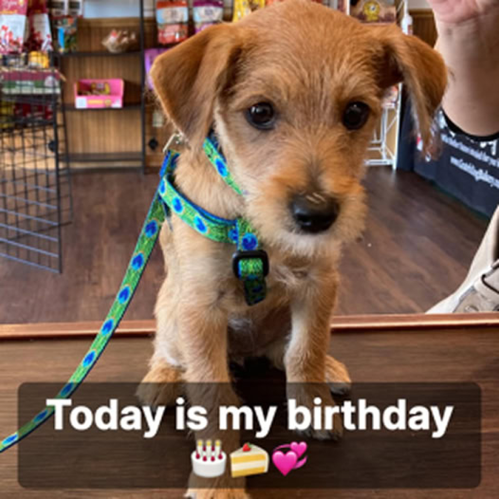 Today is my birthday, but I feel down because no one has remembered to wish me a happy birthday. -dtht
