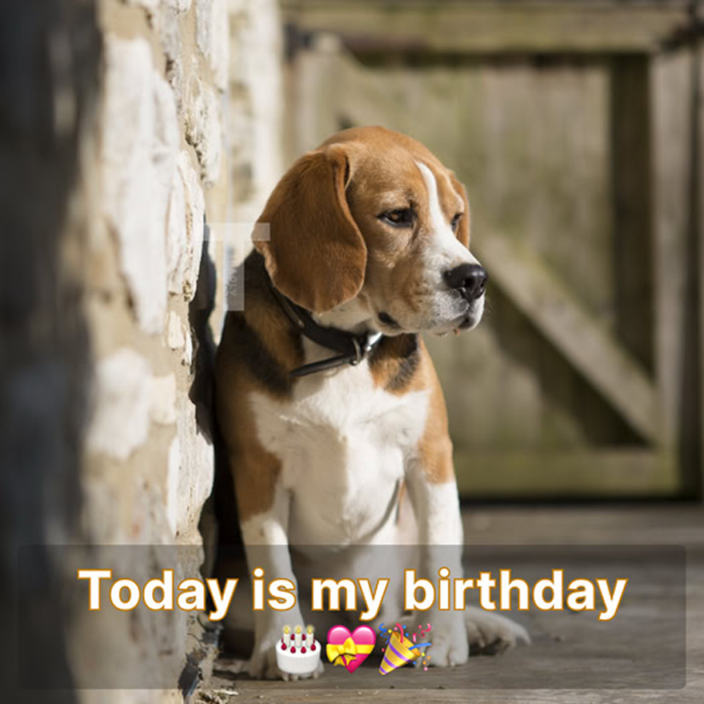 Today is my birthday, but I'm feeling really sad since no one has remembered to wish me a happy birthday. -
