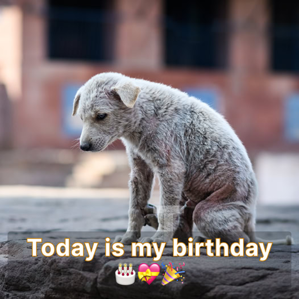 Today is my birthday, but I’m feeling sad because no one has remembered to wish me a happy birthday. -dtht