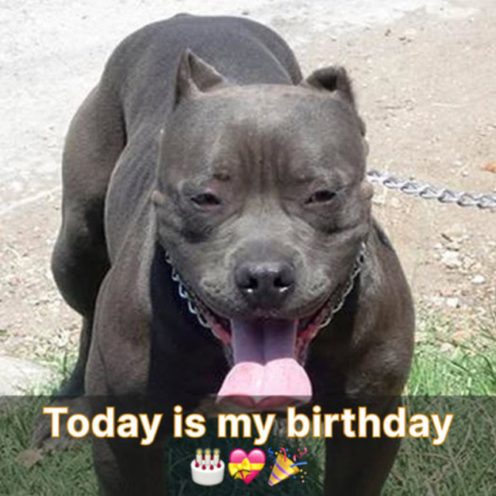 Today is my special day, yet the silence leaves me questioning if anyone remembers  -ltbl
