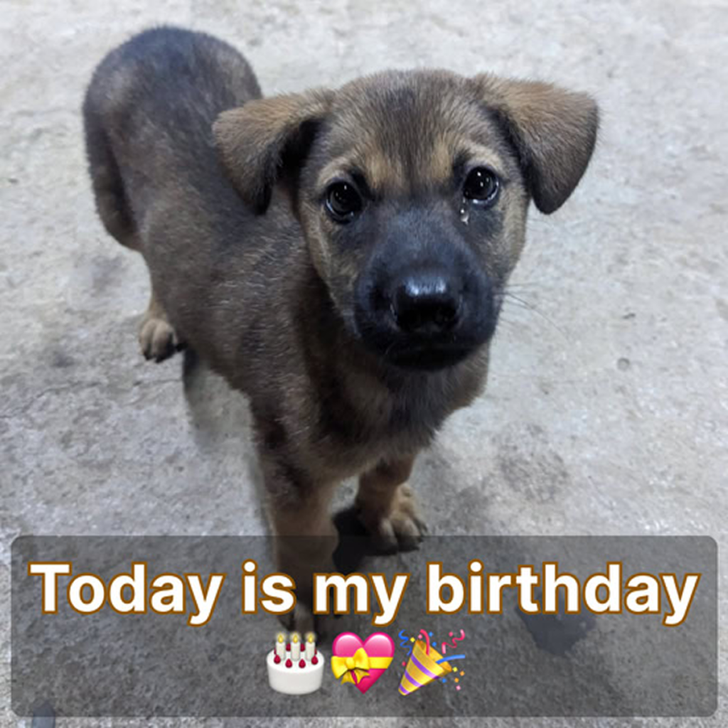 Today is my birthday, I hope to receive a little bit of love here and hoping to receive lots of congratulations. -dtht