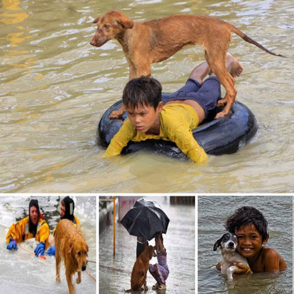 A 7-year-old boy demonstrates extraordinary compassion, becoming a hero as he rescues a helpless abandoned dog. -dtht