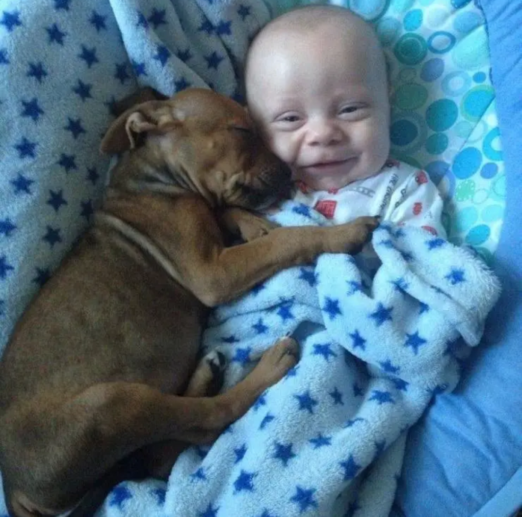 A Heartwarming Story of an Unbreakable Bond -ltbl