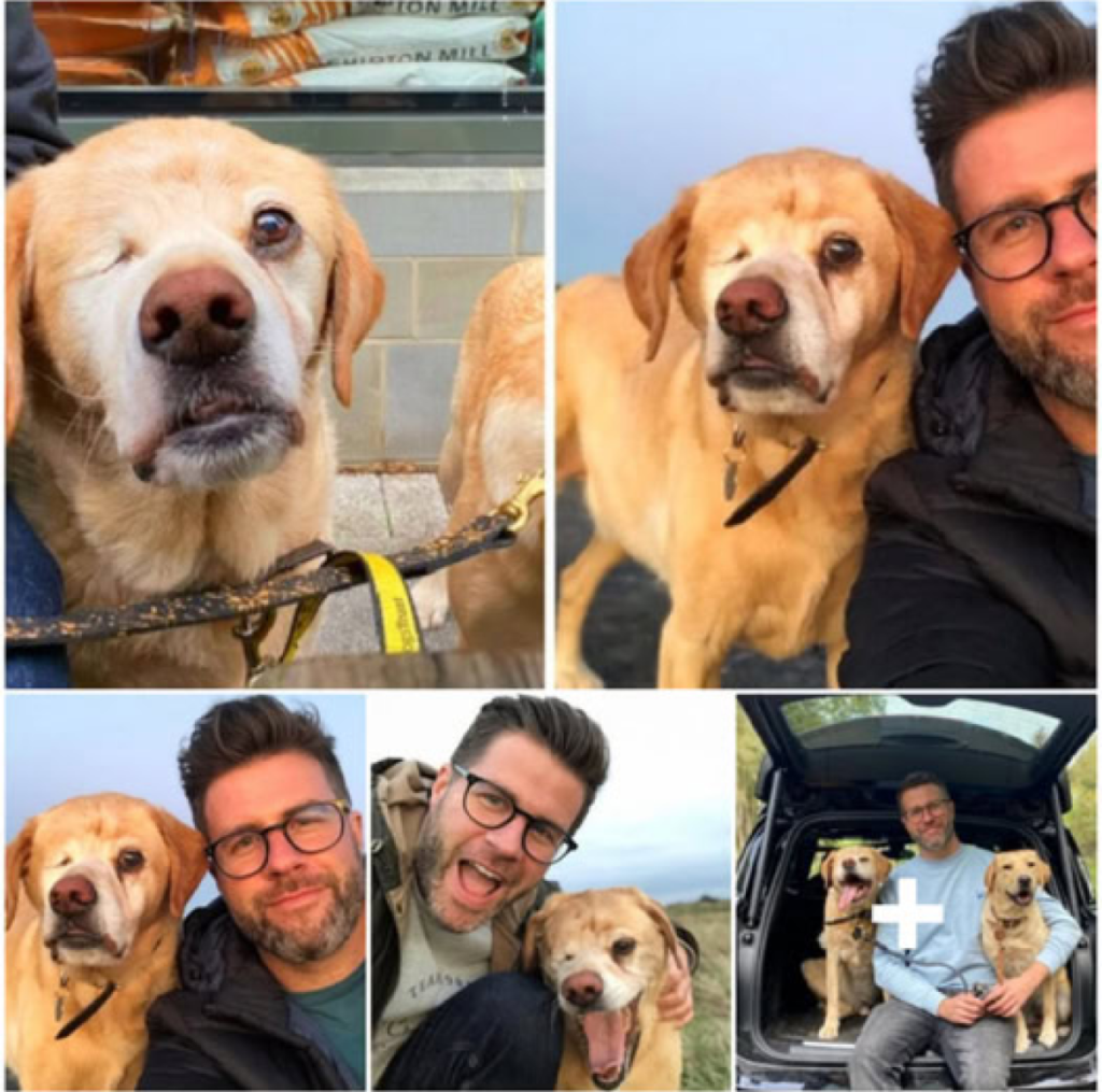A brave veterinarian stands up for his cherished one-eyed dog, confronting a stranger who made a cruel remark -ltbl