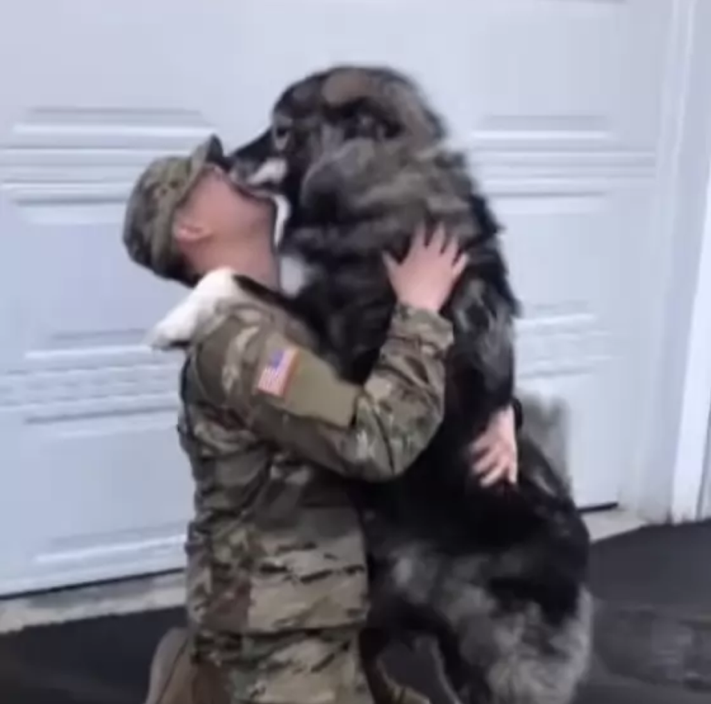 A deserted dog captured a police officer’s heart with its endearing gestures and undeniable charm, ultimately finding a forever home with its new guardian -ltbl