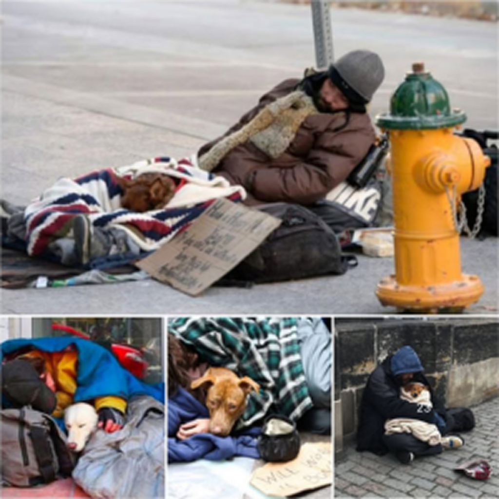 A homeless man and his loyal dog huddle together in the freezing cold, showcasing their touching bond. -dtht