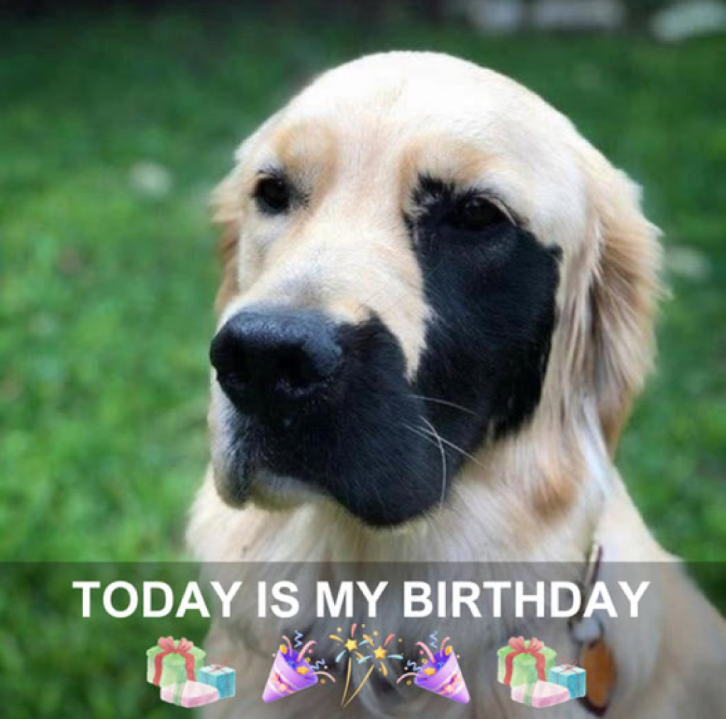 A sincere request for warm wishes on my special day 🎂🥰 -ltbl