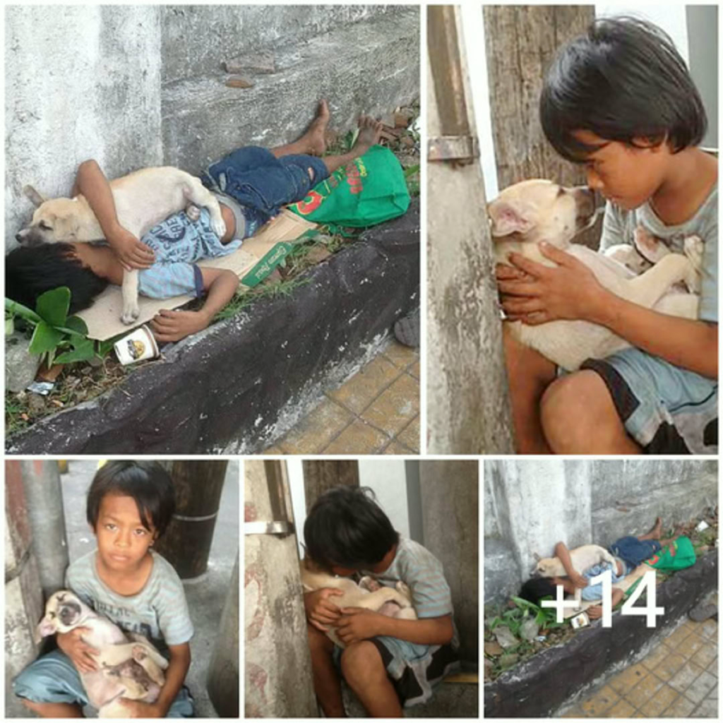 Abandoned by His Parents, a Lonely Boy Finds Unwavering Love and Solace in the Warm Embrace of His Faithful Dog-pvth