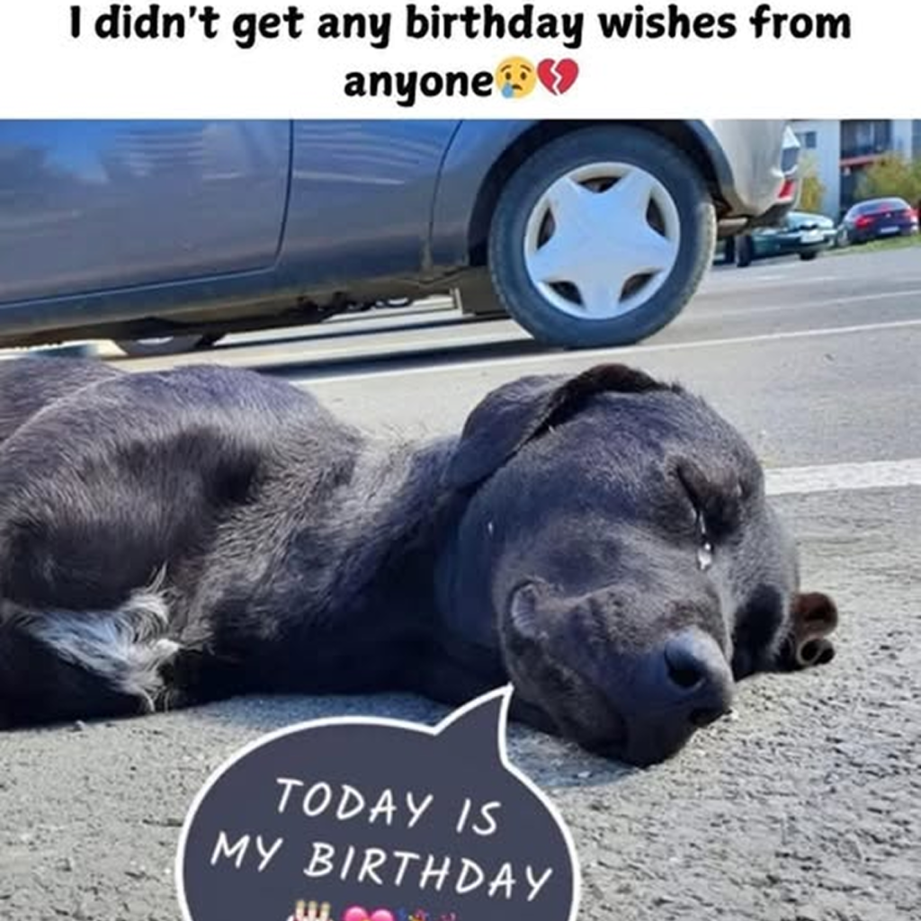 I should be celebrating today, but without loved ones, it feels a bit sad. -dtht