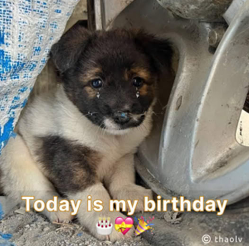 I was hoping for a happy birthday, but I feel disappointed since no one seems to remember -ltbl