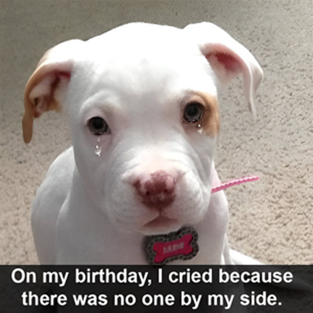 It’s my birthday, but I’m feeling a bit lonely since no one has planned to spend it with me. -dtht
