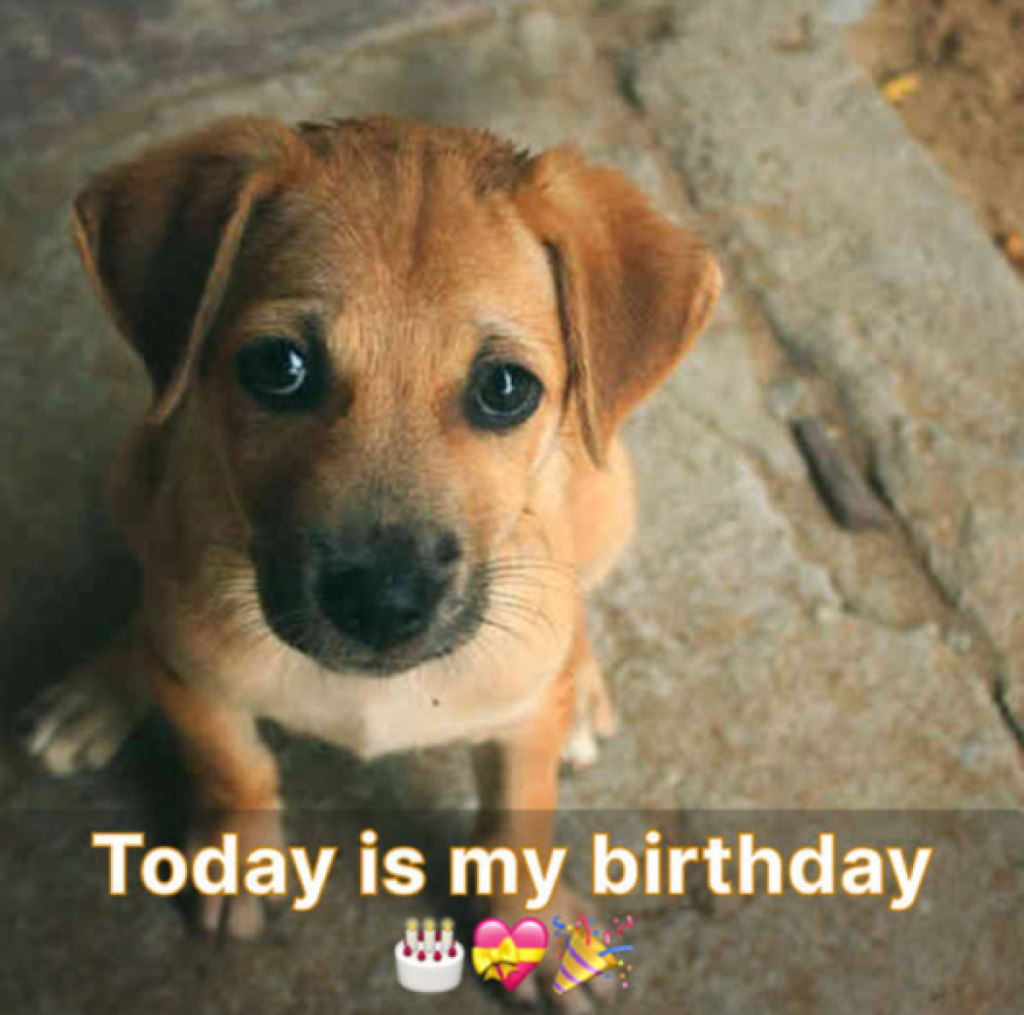It’s my birthday today, and I can’t help but feel disappointed that no one has sent me their wishes -ltbl