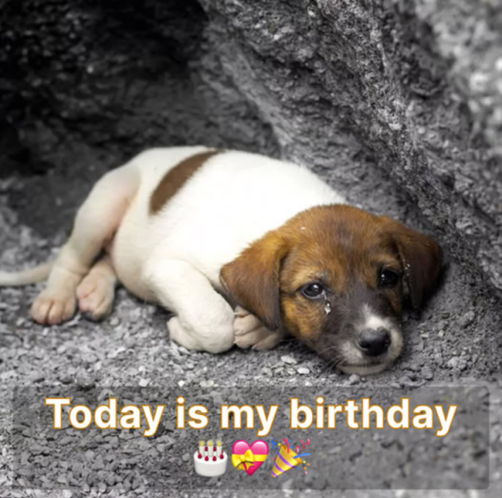 It’s my birthday today, but I haven’t gotten any birthday wishes yet, and it’s making me feel really down. 😔🎂 -ltbl