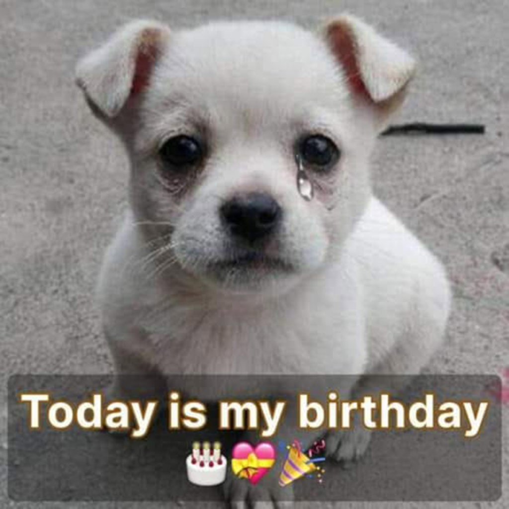 It's my birthday today, but I'm feeling a bit down since I haven't received any wishes so far.dvh