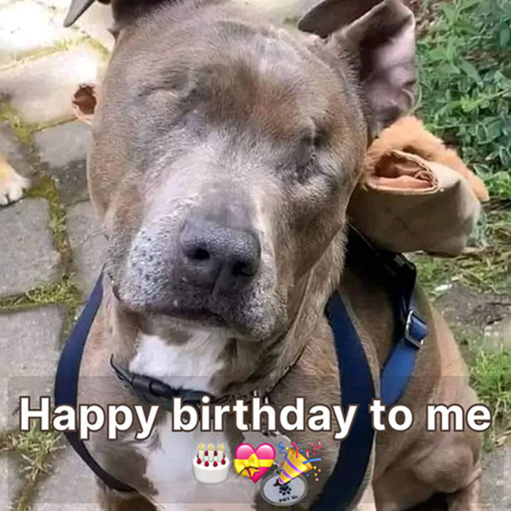 It’s my birthday today, yet I haven’t received any greetings. I might start crying. -dtht