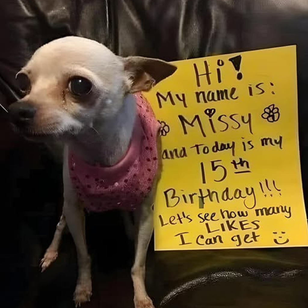 My birthday has arrived, but without company, it just feels like any other day. -dtht