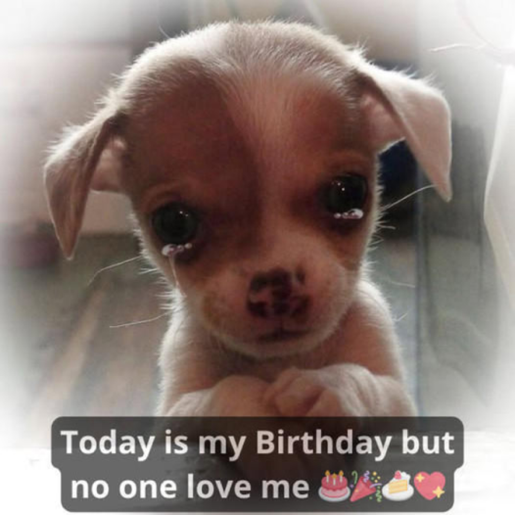 My birthday is here, but without a single wish, it feels like just another lonely day -ltbl