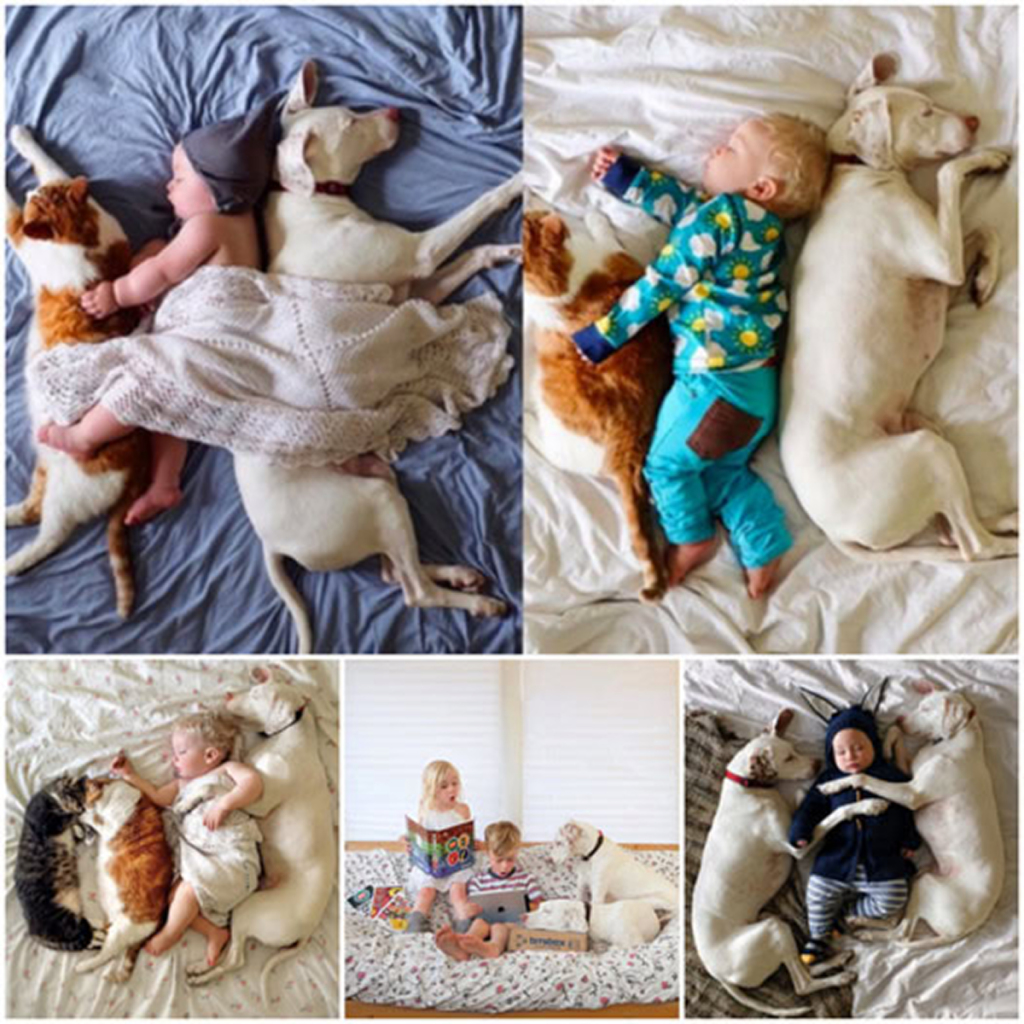 Neglected and abandoned by his former owner, this dog has finally found refuge in a loving home, where a kind-hearted child showers him with warmth and care . -dtht