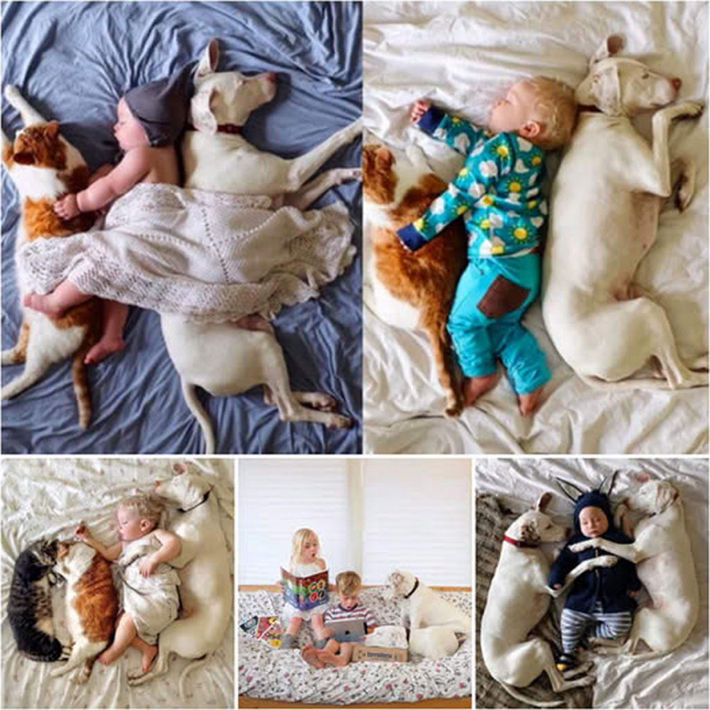 TT Once mistreated by his former owner, this dog has found a loving new home where a kind-hearted child now showers him with care and affection. -dtht