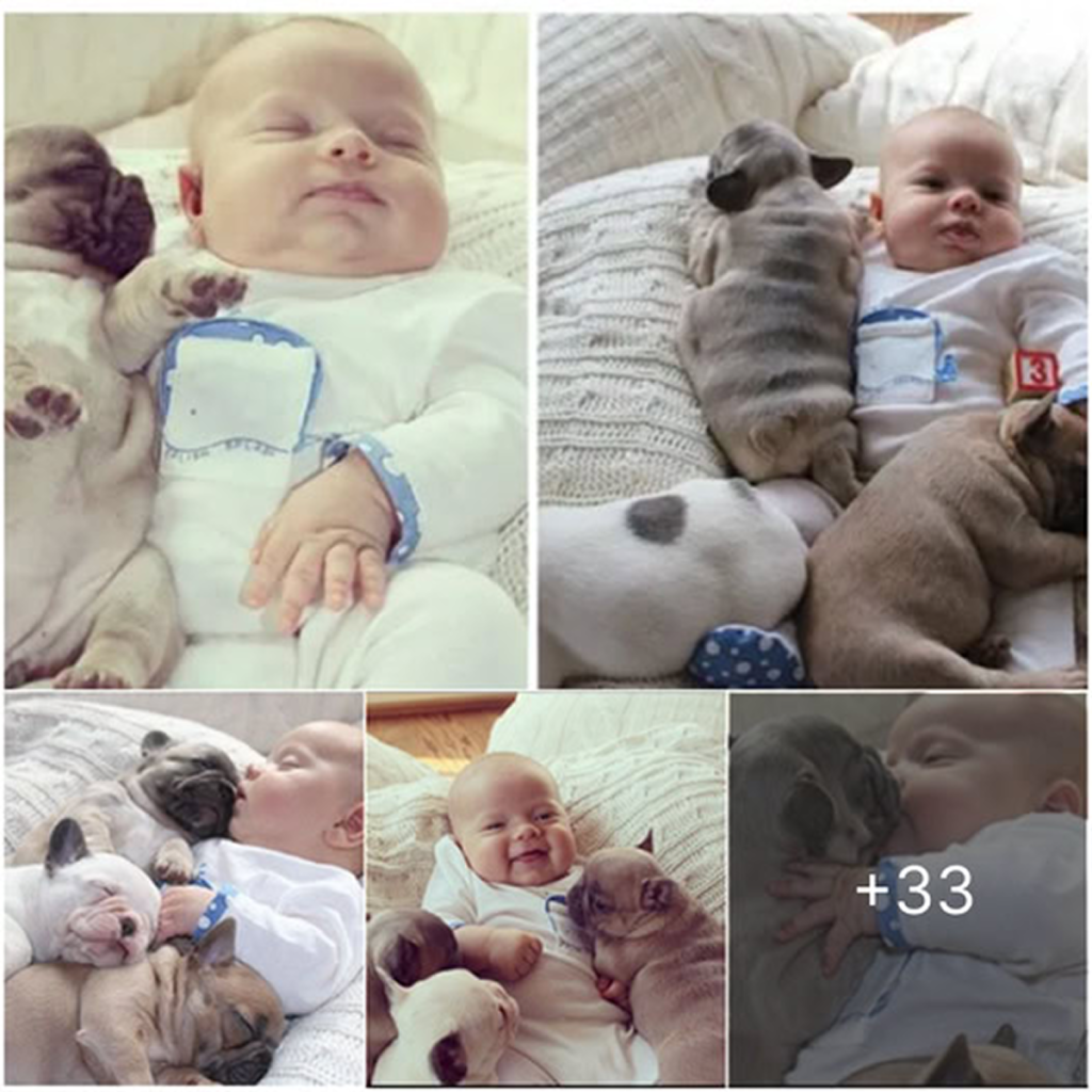 The Special Bond Between a Puppy and a Baby, Filling Their Shared Sleep with Joy and Affection." ‎-dtht