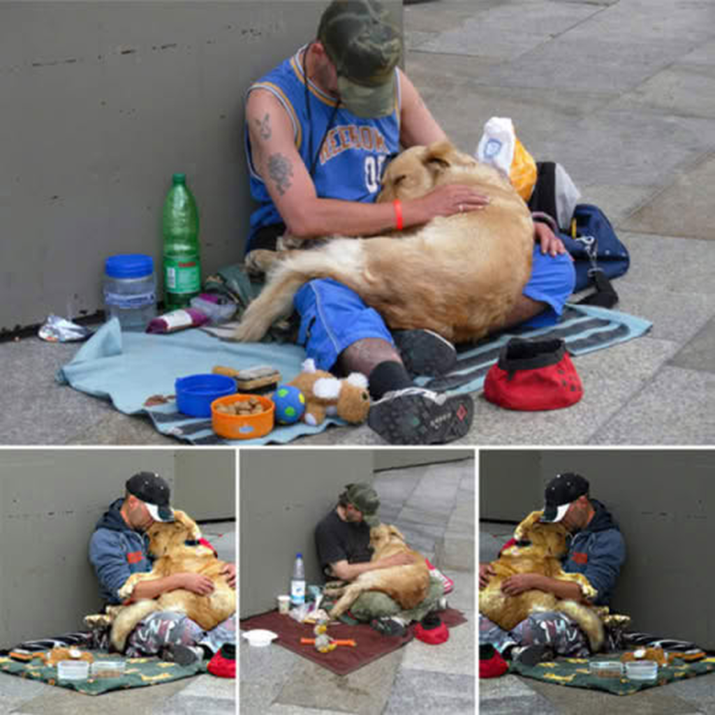 The loyal and devoted dog stays by its homeless owner, creating a touching moment for millions around the world.dvh