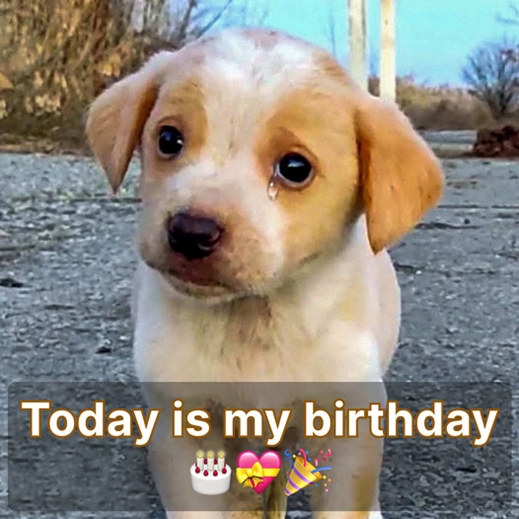 Today is my birthday, I hope to receive a little bit of love here and hoping to receive lots of congratulations. -dtht