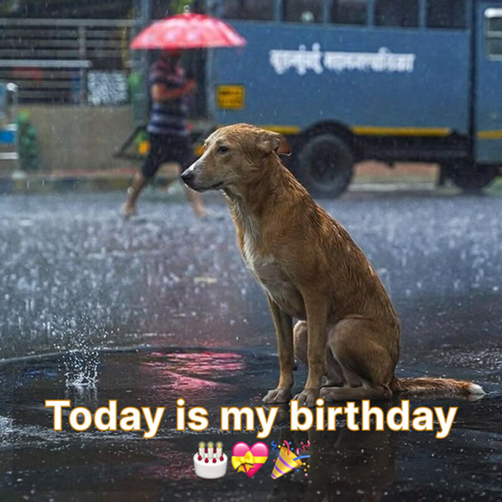 Today is my birthday , I thought I would receive many birthday wishes but they said I wouldn't receive any wishes because I'm not beautiful, is that true? -dtht