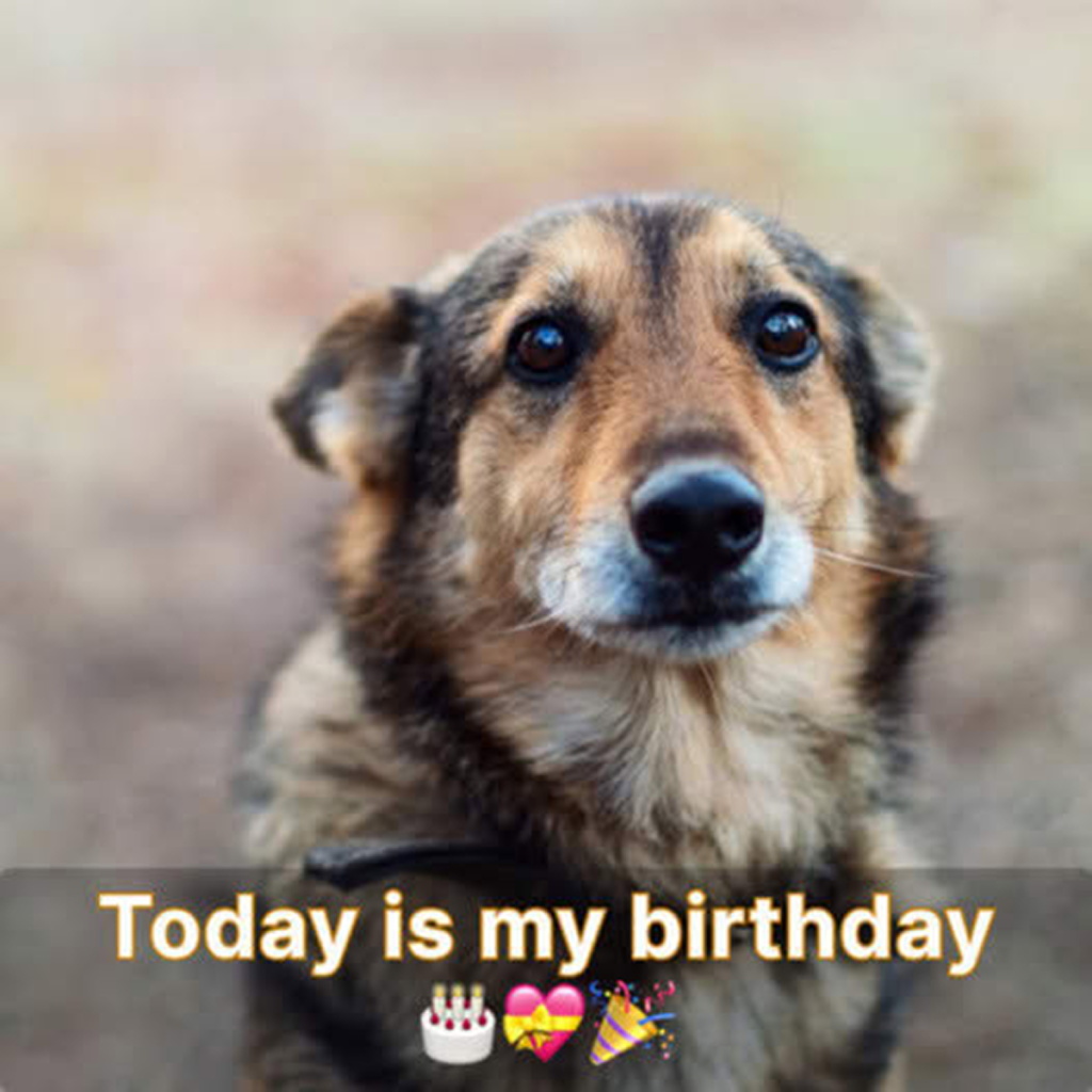 Today is my birthday I'm not going to get a kiss cuz I'm not pretty. -dtht