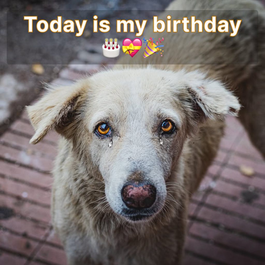 Today is my birthday, and I’m feeling really down because no one has acknowledged it with any birthday greetings -dtht
